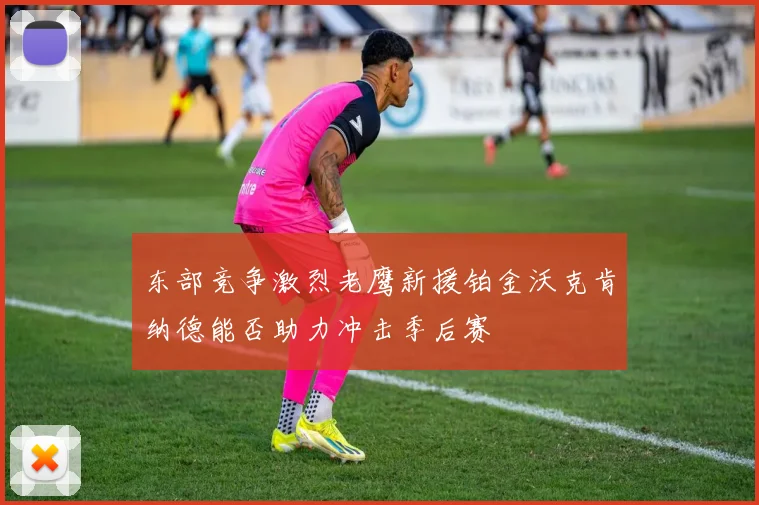 东部竞争激烈老鹰新援铂金沃克肯纳德能否助力冲击季后赛