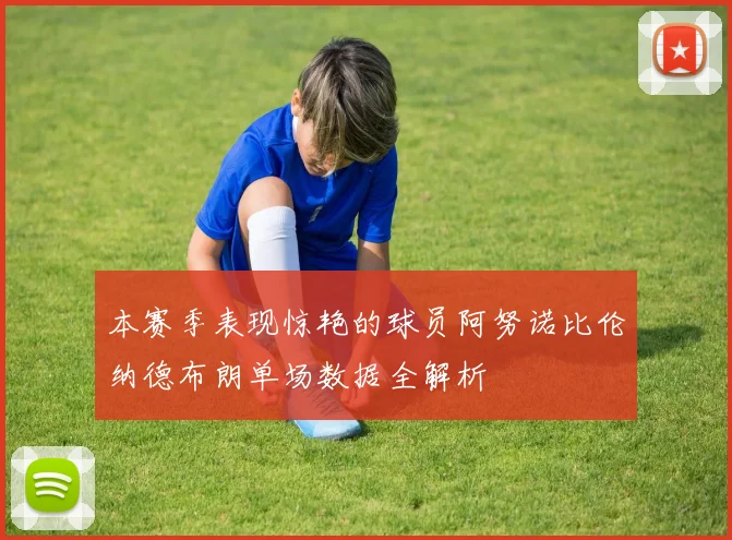本赛季表现惊艳的球员阿努诺比伦纳德布朗单场数据全解析