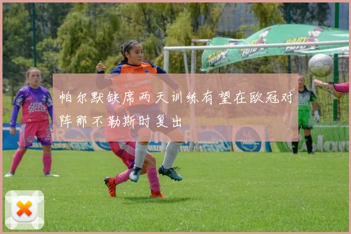 帕尔默缺席两天训练有望在欧冠对阵那不勒斯时复出