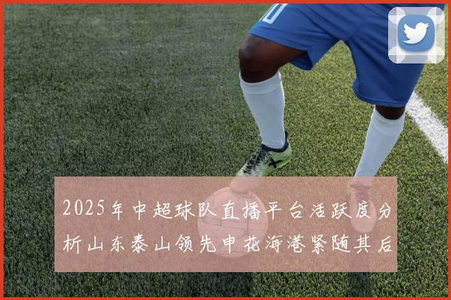 2025年中超球队直播平台活跃度分析山东泰山领先申花海港紧随其后
