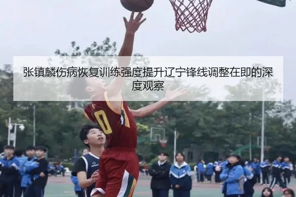张镇麟伤病恢复训练强度提升辽宁锋线调整在即的深度观察（MKSPORTS）